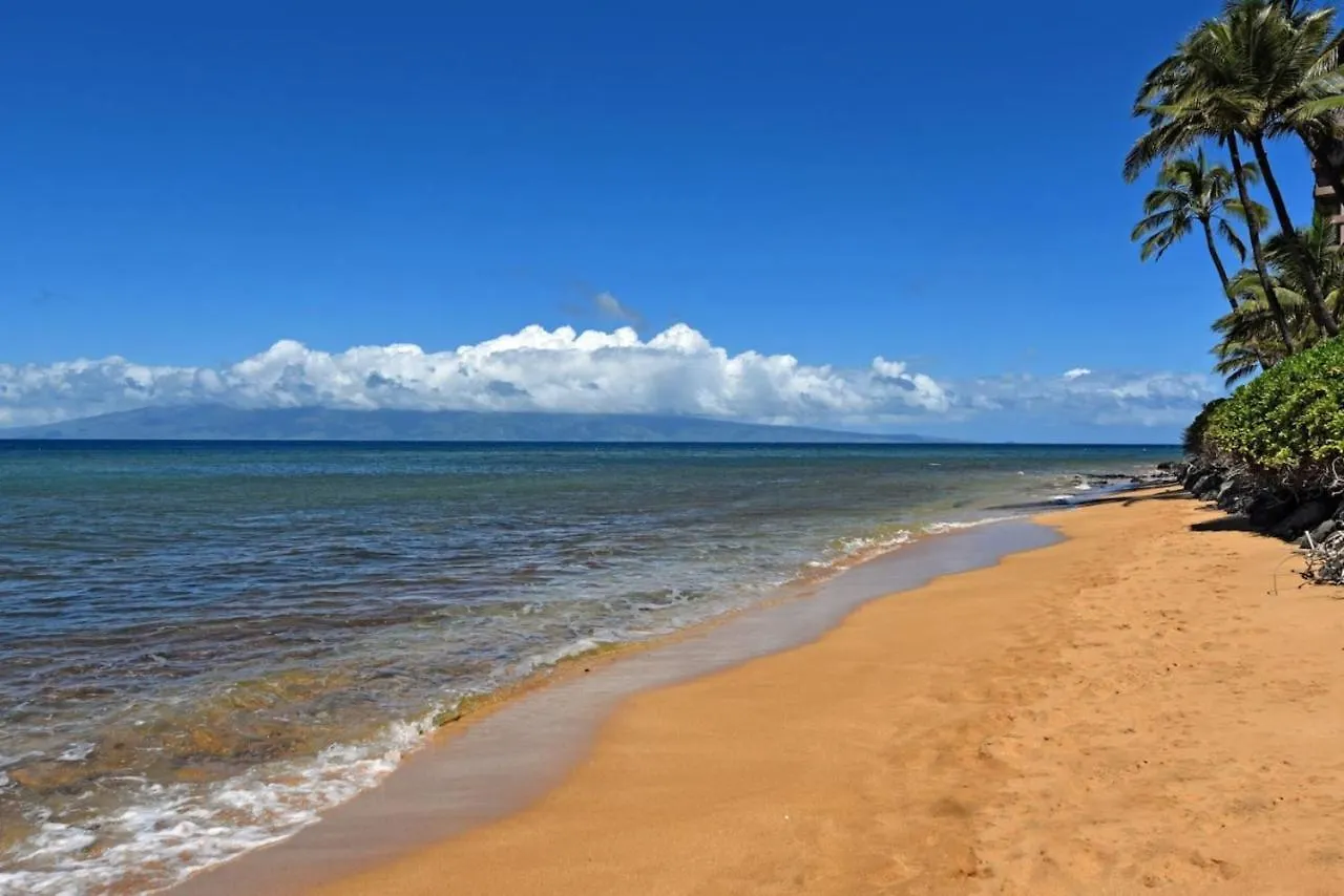 Mahana 803 Kahana